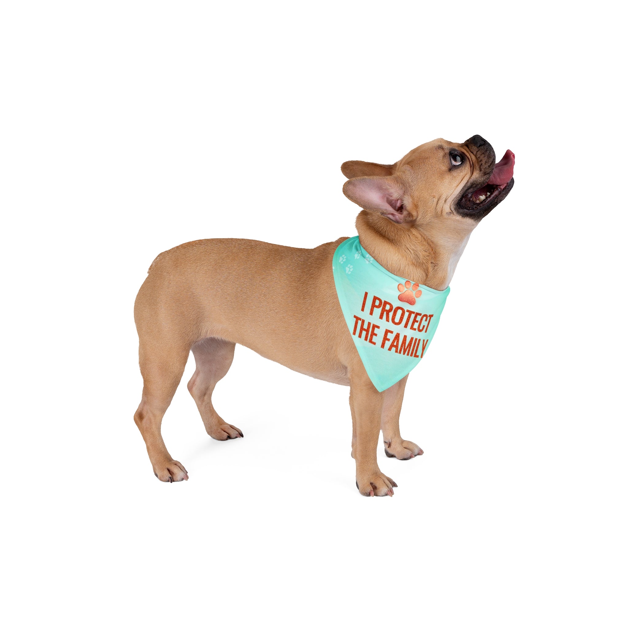 I Protect The Family Pet Bandana